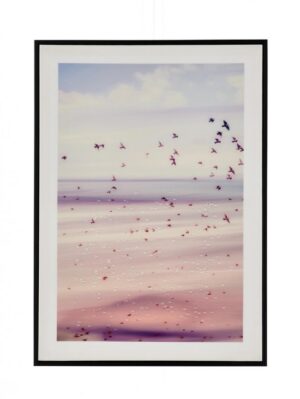 BIZZOTTO Tisk na plátně VOYAGE II 50x70cm