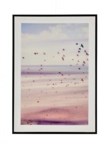 BIZZOTTO Tisk na plátně VOYAGE II 50x70cm